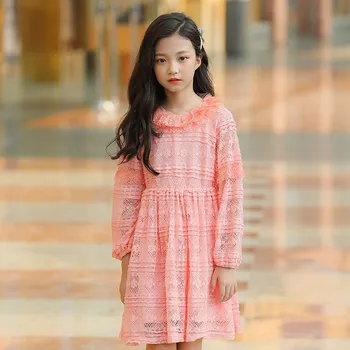 White Pink Lace Princess Dress Baby Big Girls Long Sleeve Embroidery Floral Spring Dresses For Kids 2019 Children Party Clothing
White Pink Lace Princess Dress Baby Big Girls Long Sleeve Embroidery Floral Spring Dresses For Kids 2019 Children Party Clothing