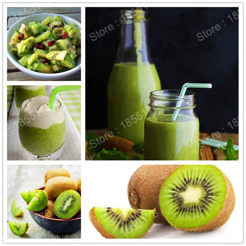 promotion!popular kiwifruit tree flores Bonsai fruit tree plantas indoor Bonsai plant in garden productive fruit tree 200pcs/bag
promotion!popular kiwifruit tree flores Bonsai fruit tree plantas indoor Bonsai plant in garden productive fruit tree 200pcs/bag