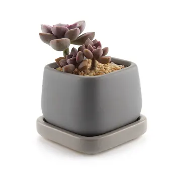 Ceramic Modern Mini Square Succulent Plant Pot Cactus Plant Pot Container With Grey Tray Matte Grey
Ceramic Modern Mini Square Succulent Plant Pot Cactus Plant Pot Container With Grey Tray Matte Grey