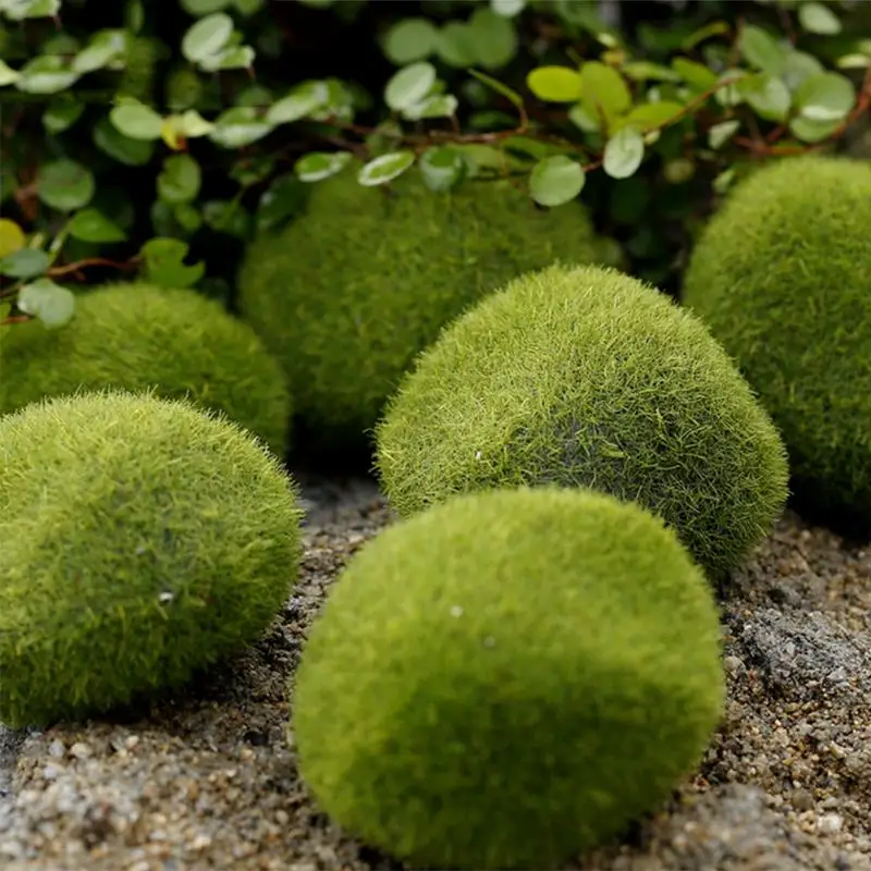 20pcs Artificial Green Moss Ball Fake Stone Simulation Plant DIY Decoration For Shop Window Hotel Home Office Plant Wall decor
20pcs Artificial Green Moss Ball Fake Stone Simulation Plant DIY Decoration For Shop Window Hotel Home Office Plant Wall decor