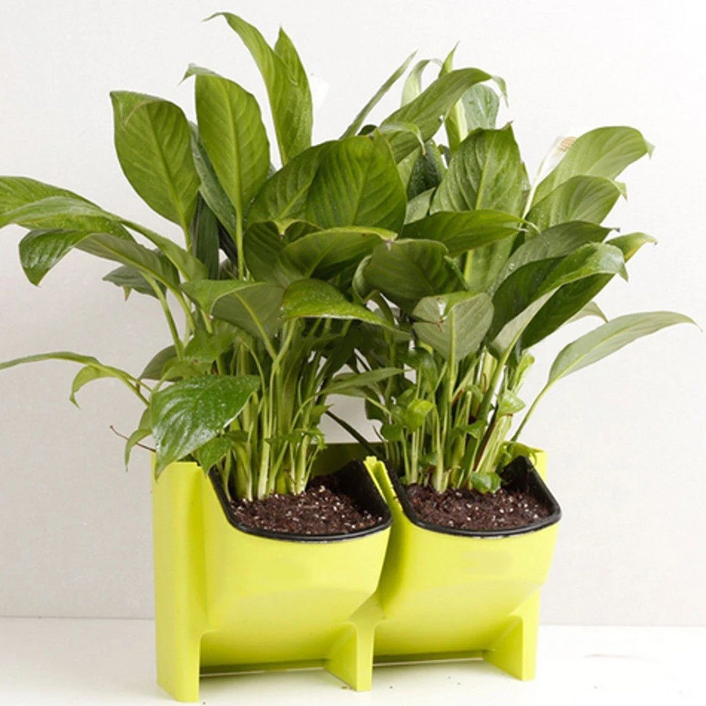 1pcs Garden Hydroponics Wall Hanging Vertical Flower Pot Succulents Planters Stackable Home Terracotta Pots Plant Pot Wholesale
1pcs Garden Hydroponics Wall Hanging Vertical Flower Pot Succulents Planters Stackable Home Terracotta Pots Plant Pot Wholesale