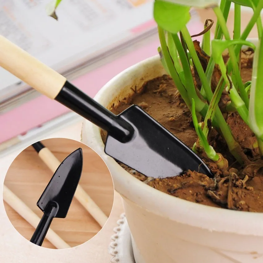 3 Piece gardening tool hoe shovel rake garden Tools used for weeding loose soil planting flowers potted plant tool
3 Piece gardening tool hoe shovel rake garden Tools used for weeding loose soil planting flowers potted plant tool