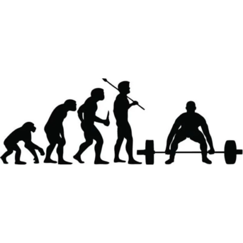 Weight Lifting Evolution Fashion Personality Creative Classic Attractive Car Truck Window Decal Sticker
Weight Lifting Evolution Fashion Personality Creative Classic Attractive Car Truck Window Decal Sticker
