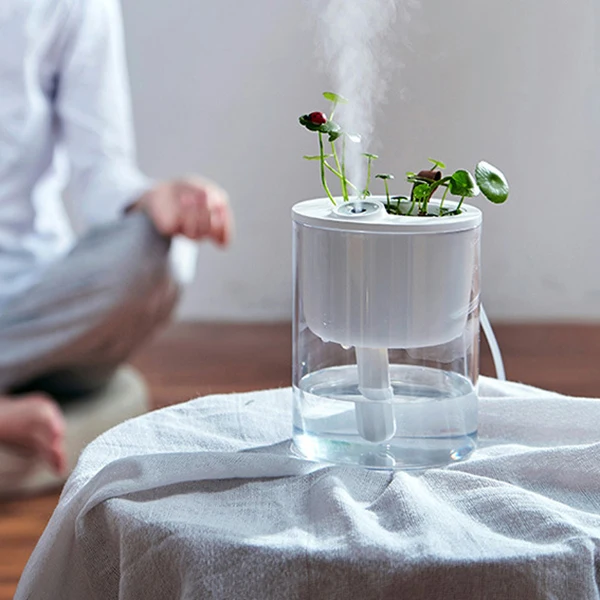 Essential Oil Diffuser Air Humidifier Creative Ecological Home Mini Bedroom Desktop Potted Mute USB Small Ultrasonic Humidifier
Essential Oil Diffuser Air Humidifier Creative Ecological Home Mini Bedroom Desktop Potted Mute USB Small Ultrasonic Humidifier