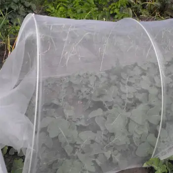 1PC Bird-proof gauze Vegetables Flower Garden Orchard Anti-bird Net Anti-insect Net
1PC Bird-proof gauze Vegetables Flower Garden Orchard Anti-bird Net Anti-insect Net