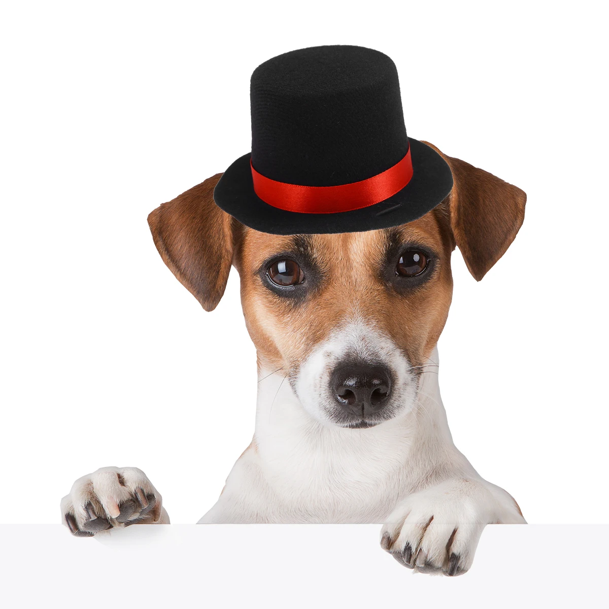 1PC Cat Top Hat Cosplay Gentlemanlike Cute Durable Nontoxic Hat Costume for Christmas Halloween Holiday Party
1PC Cat Top Hat Cosplay Gentlemanlike Cute Durable Nontoxic Hat Costume for Christmas Halloween Holiday Party