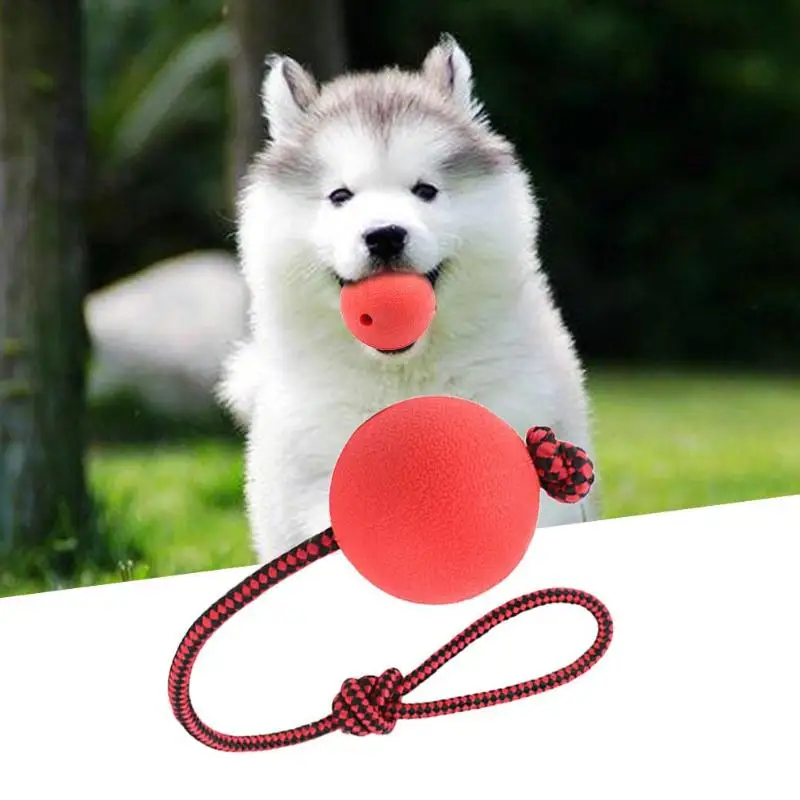 Solid Rubber Ball Dog Bite Chew Play Toys Pet Balls Tug Toy w/Rope Handle Natural Rubber Dog Toy Ball On A Strap Rope Pet Train
Solid Rubber Ball Dog Bite Chew Play Toys Pet Balls Tug Toy w/Rope Handle Natural Rubber Dog Toy Ball On A Strap Rope Pet Train
