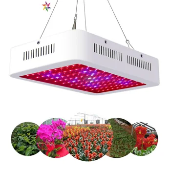 Fast Growing Lamps LED Grow Light 1000W AC85-265V Full Spectrum Plant Lighting Fitolampy For Plants Flowers Seedling Cultivation
Fast Growing Lamps LED Grow Light 1000W AC85-265V Full Spectrum Plant Lighting Fitolampy For Plants Flowers Seedling Cultivation