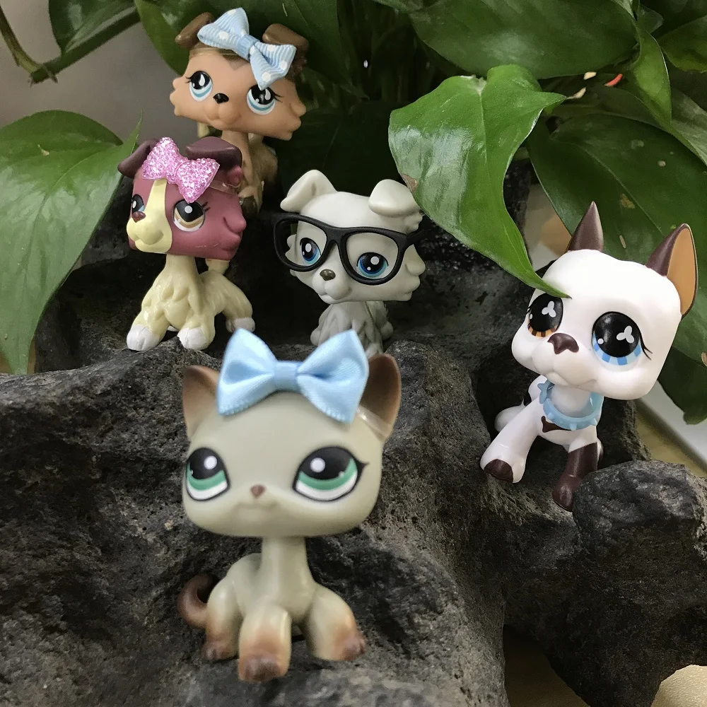 Collie 3pcs #893#363#1262 1pcs Short hair cat #391 1pcs Great Dane dog #577 and Magnet Foot Rare Figures with Accessories Lot
Collie 3pcs #893#363#1262 1pcs Short hair cat #391 1pcs Great Dane dog #577 and Magnet Foot Rare Figures with Accessories Lot