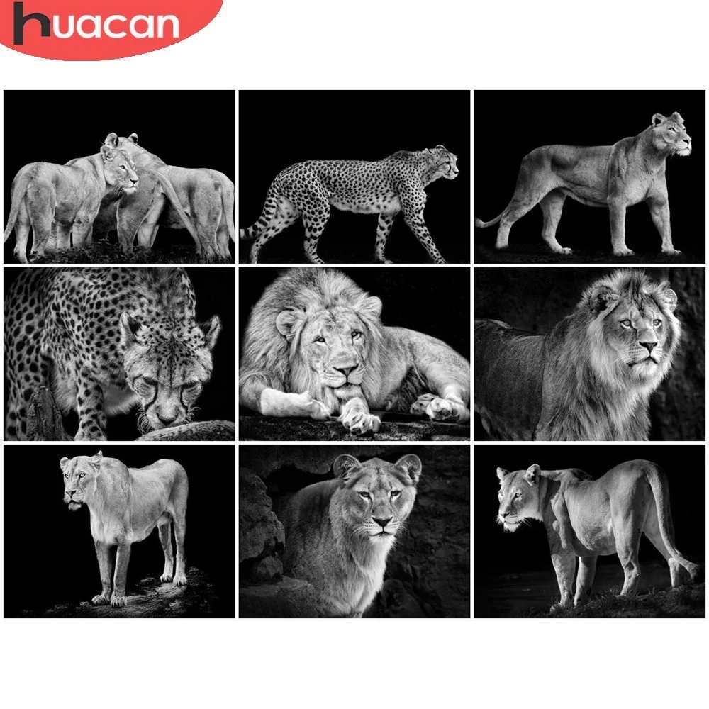 HUACAN Picture Of Rhinestone Diamond Painting Animal Mosaic 5D DIY Diamond Embroidery Full Display Full Square Home Decor Gift
HUACAN Picture Of Rhinestone Diamond Painting Animal Mosaic 5D DIY Diamond Embroidery Full Display Full Square Home Decor Gift