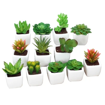 12PCS Decorative Faux Succulent Artificial Simulation Mini Green Fake Plants in Square Ceramic White Pots
12PCS Decorative Faux Succulent Artificial Simulation Mini Green Fake Plants in Square Ceramic White Pots