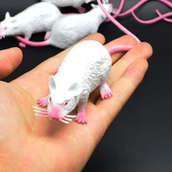 New Peculiar 22cmpvc Simulation White The Little Mouse Persecute Others Toys Prank Toys
New Peculiar 22cmpvc Simulation White The Little Mouse Persecute Others Toys Prank Toys