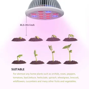 E27 12LEDs Full Spectrum LED Plant Grow Light Bulb Fitolampy Phyto Lamp Indoor Garden Plants Flower Hydroponics Grow Tent
E27 12LEDs Full Spectrum LED Plant Grow Light Bulb Fitolampy Phyto Lamp Indoor Garden Plants Flower Hydroponics Grow Tent