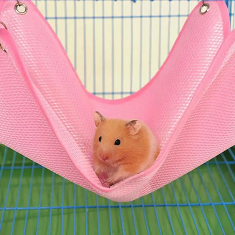 Hamster Hammock Chinchillas Ferrets Breathable Mesh Hammock Small Pet Cotton Nest Cage Accessories Breathable And Beautiful
Hamster Hammock Chinchillas Ferrets Breathable Mesh Hammock Small Pet Cotton Nest Cage Accessories Breathable And Beautiful