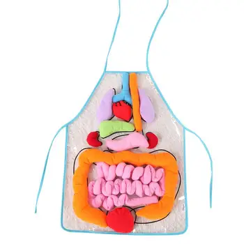 1PC Organ Apron 3D Intellectual Transparent Educational Stuffed Viscera Apron Teaching Toy for Children Kids indergarten
1PC Organ Apron 3D Intellectual Transparent Educational Stuffed Viscera Apron Teaching Toy for Children Kids indergarten