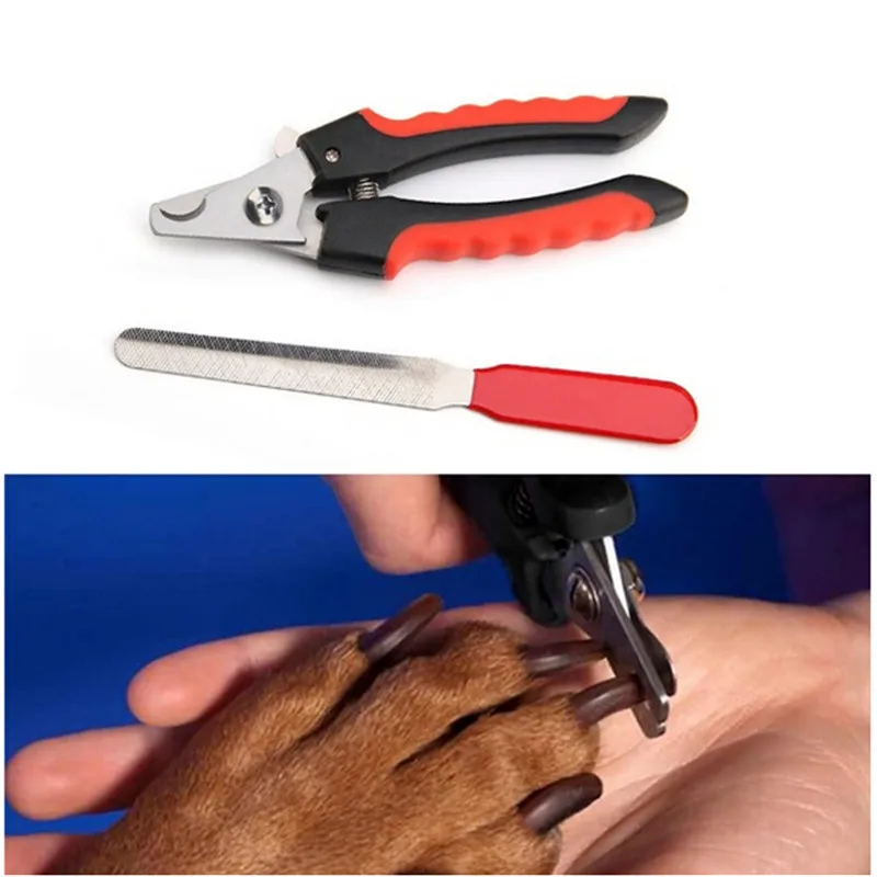 Large Animal Pet Cat Dog Rabbit Sheep Nail Clippers Claw Trimmer Scissors Grooming + Pet Nail File
Large Animal Pet Cat Dog Rabbit Sheep Nail Clippers Claw Trimmer Scissors Grooming + Pet Nail File