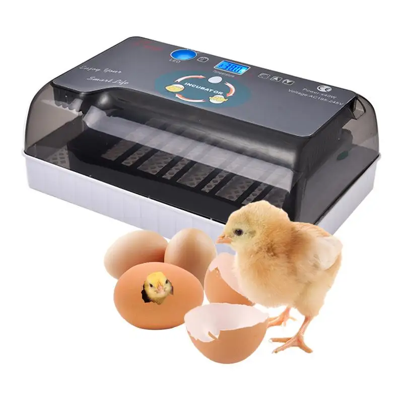 Incubator Egg Digital Fully Automatic Hatcher for Chicken Poultry Quail Duck Bird Turkey Home Use Turning Hot | Дом и сад