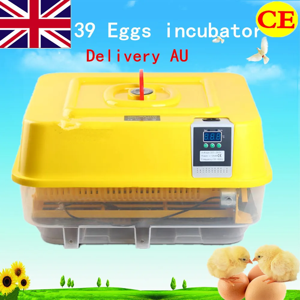Household Specialized Egg Incubator Automatic Mini Farm Poultry Farming Hatchery Machine High Hatching Rate 39 Eggs Hatcher 
Household Specialized Egg Incubator Automatic Mini Farm Poultry Farming Hatchery Machine High Hatching Rate 39 Eggs Hatcher