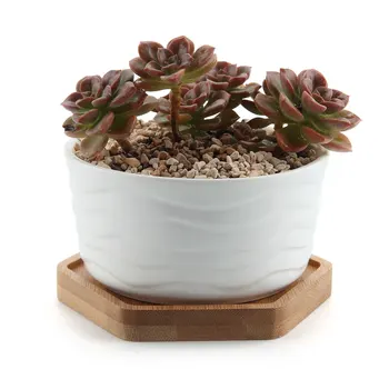 Ceramic Contemporary Ripple Surface Succulent Plant Pot Cactus Plant Pot Container With Hexagon Bamboo Tray Pack
Ceramic Contemporary Ripple Surface Succulent Plant Pot Cactus Plant Pot Container With Hexagon Bamboo Tray Pack