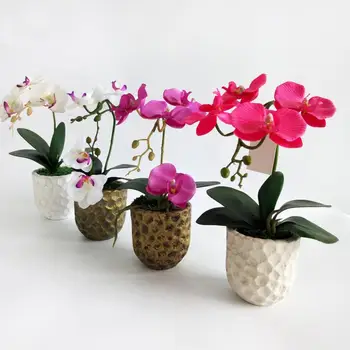 AUGKUN Home Decoration Mini Artificial Flower Ornaments Simulation Butterfly Orchid Green Plant Flowers Fake Small Potted Plants
AUGKUN Home Decoration Mini Artificial Flower Ornaments Simulation Butterfly Orchid Green Plant Flowers Fake Small Potted Plants