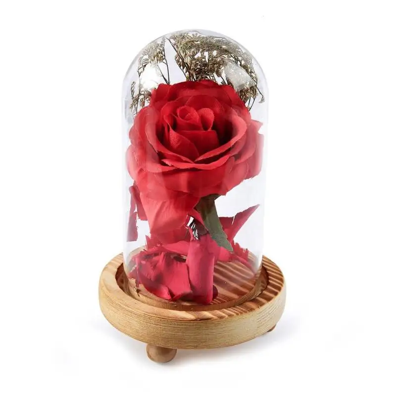 Birthday Gift Beauty and the Beast Red Rose in a Glass Dome on a Wooden Base Arificial Flower Eternal Rose For Valentine's Day
Birthday Gift Beauty and the Beast Red Rose in a Glass Dome on a Wooden Base Arificial Flower Eternal Rose For Valentine's Day