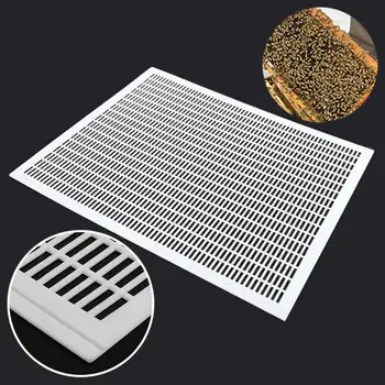 New 1PCS Bee Queen Excluder Trapping Net Grid Beekeeping Tool Plastic Equipment 51 x 41cm
New 1PCS Bee Queen Excluder Trapping Net Grid Beekeeping Tool Plastic Equipment 51 x 41cm