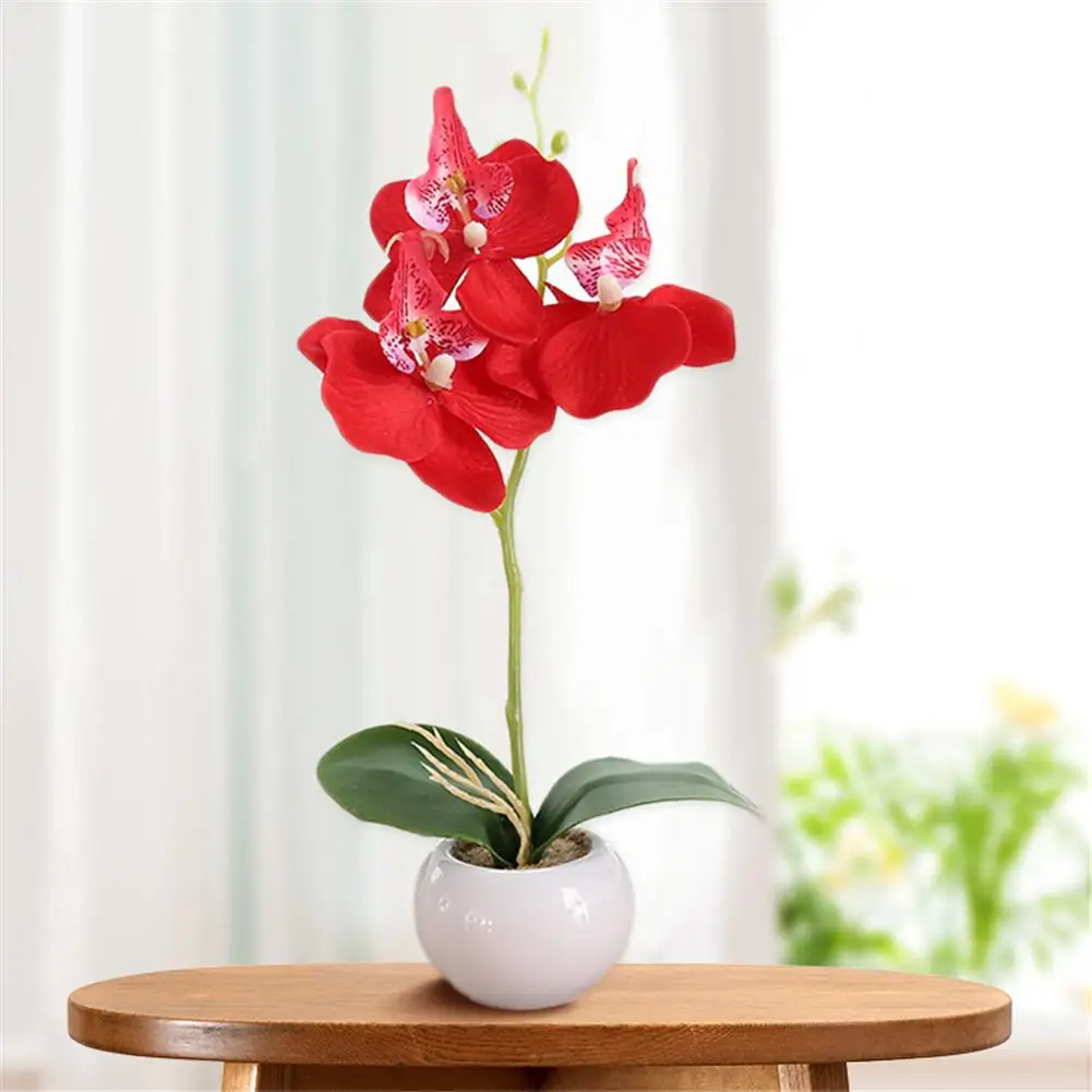 AUGKUN Vintage Simulated Flower Butterfly Artificial Flower DIY Bonsai Flower Potted Plant Ornament For Party Weeding Decoration
AUGKUN Vintage Simulated Flower Butterfly Artificial Flower DIY Bonsai Flower Potted Plant Ornament For Party Weeding Decoration