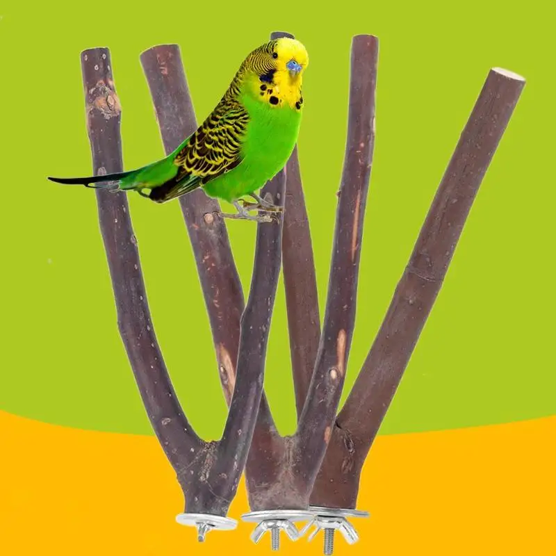 3 PCS Pet Parrot Raw Wood Fork Tree Branch Stand Rack Squirrel Bird Hamster Branch Perches Chew Bite Toys With Material of wood
3 PCS Pet Parrot Raw Wood Fork Tree Branch Stand Rack Squirrel Bird Hamster Branch Perches Chew Bite Toys With Material of wood