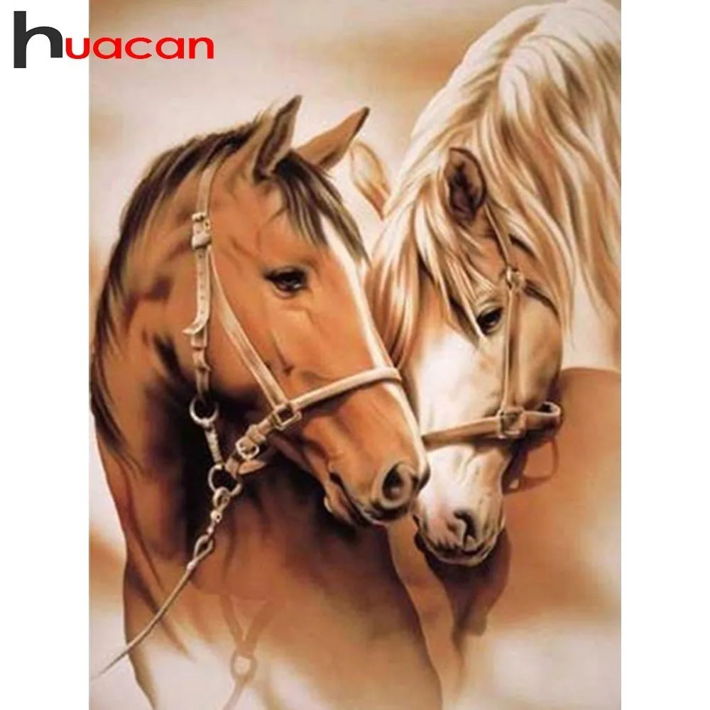 Huacan 5D Diamond Painting Full Square Drill Horse Diamond Embroidery Sale Animal Rhinestones Diamond Mosaic Cross Stitch Art
Huacan 5D Diamond Painting Full Square Drill Horse Diamond Embroidery Sale Animal Rhinestones Diamond Mosaic Cross Stitch Art