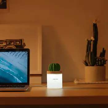 Adoolla 280mL Cactus Timing Air Humidifier USB Aromatherapy Diffuser Aroma Mist Maker Home Bedroom Desktop Night Light
Adoolla 280mL Cactus Timing Air Humidifier USB Aromatherapy Diffuser Aroma Mist Maker Home Bedroom Desktop Night Light