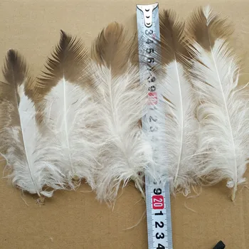 Rare natural golden eagle feathers 10pcs long 6-8 inches / 15-20 cm beautiful feather trim craft
Rare natural golden eagle feathers 10pcs long 6-8 inches / 15-20 cm beautiful feather trim craft