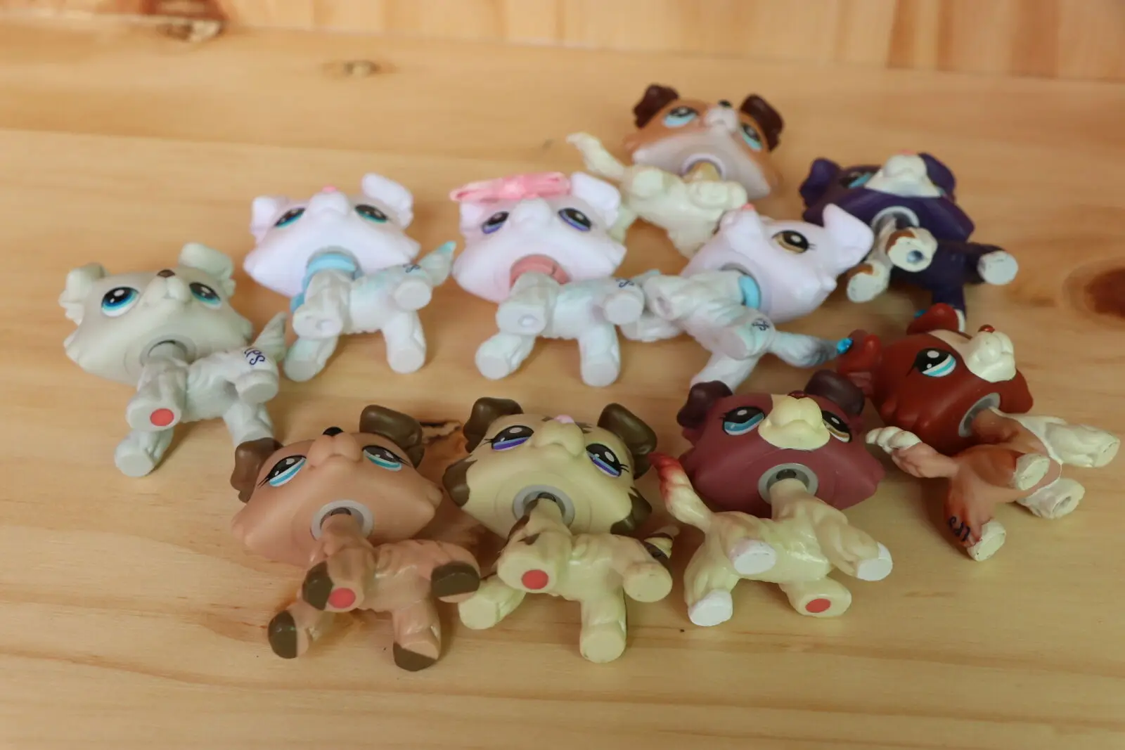 Cartoon Animals Collie and New White Collie Different Eyes 10PCS Gift Rare Pet Shop Toy
Cartoon Animals Collie and New White Collie Different Eyes 10PCS Gift Rare Pet Shop Toy