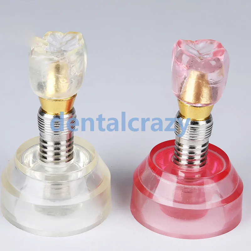 2pcs Dental Model #2020 - Clear and Pink Implant Model 2019 tools model practice
2pcs Dental Model #2020 - Clear and Pink Implant Model 2019 tools model practice
