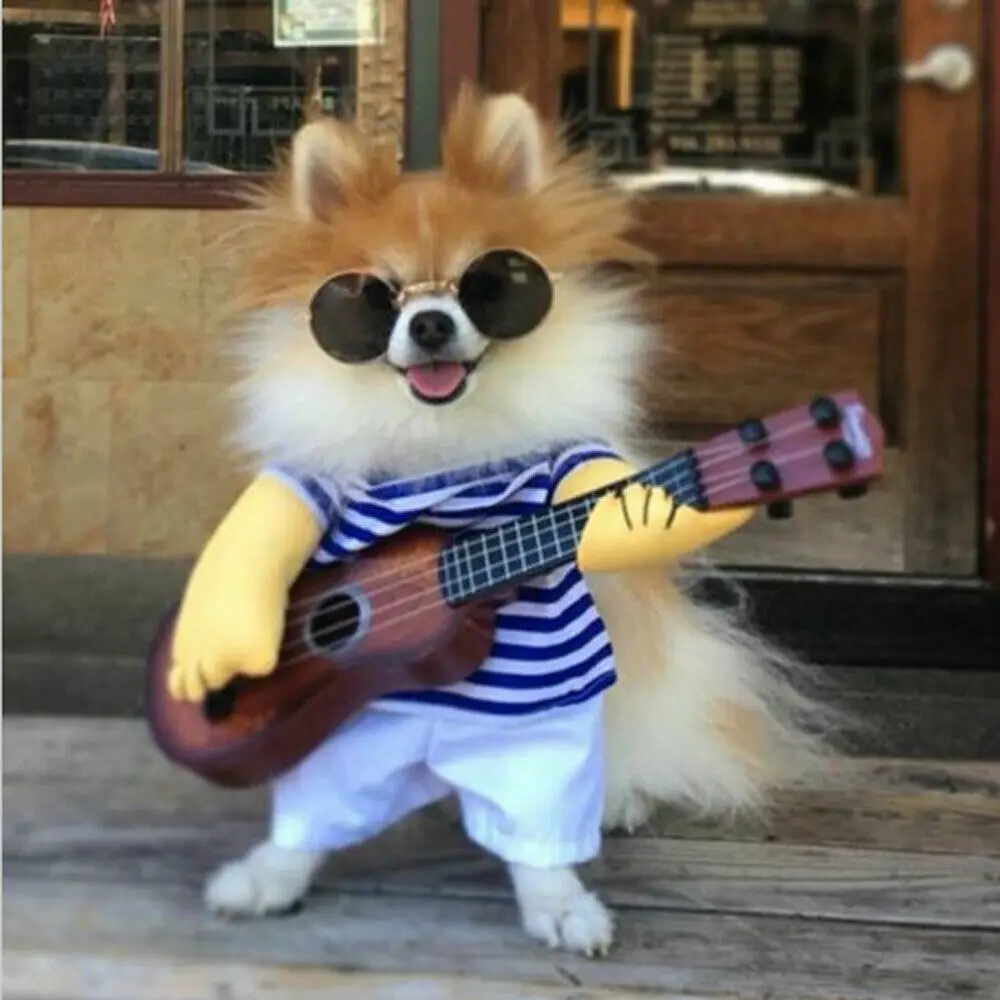 Hip Hop Rock Cute Dog Cat Coat Jacket Pet Supplies Apparel Clothing Puppy Guitar Ukulele Player Costume
Hip Hop Rock Cute Dog Cat Coat Jacket Pet Supplies Apparel Clothing Puppy Guitar Ukulele Player Costume