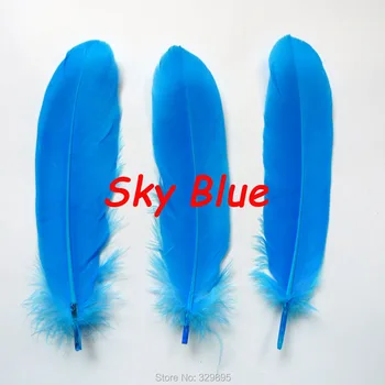 Wholesale 1000Pcs Sky blue DIY Natural Plumes Goose Feathers for crafts Christmas Cosplay Decoration Clothing Shoes Accessories
Wholesale 1000Pcs Sky blue DIY Natural Plumes Goose Feathers for crafts Christmas Cosplay Decoration Clothing Shoes Accessories