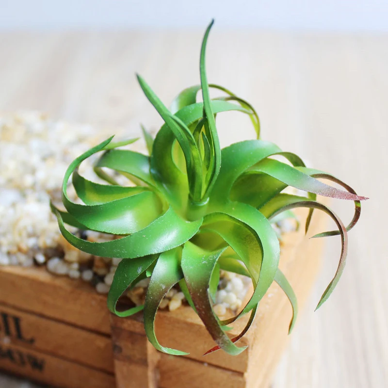 Mini Artificial Succulents Plants Grass Land Lotus Artificial Fake Plastic Miniature Succulents Plants Art Garden HOME Decor
Mini Artificial Succulents Plants Grass Land Lotus Artificial Fake Plastic Miniature Succulents Plants Art Garden HOME Decor