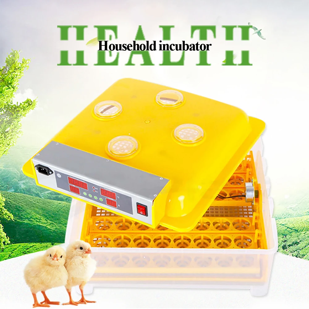 Hot Sale Automatic Egg Incubator High Hatching Rate Egg Poultry Hatchery Machine For Chicken Bird
Hot Sale Automatic Egg Incubator High Hatching Rate Egg Poultry Hatchery Machine For Chicken Bird