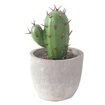 1Pc Simulation Plants Cactus Potted Decoration Resin Ball Fleshy Simulation Plant Ornament Bonsai Home Decoration Supplies
1Pc Simulation Plants Cactus Potted Decoration Resin Ball Fleshy Simulation Plant Ornament Bonsai Home Decoration Supplies