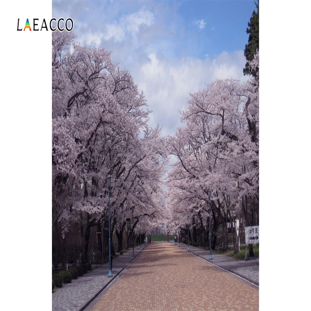 Laeacco Blossom Tree Road Way Portrait Scene Backdrop Photography Backgrounds Photocall Photographic Backdrops For Photo Studio
Laeacco Blossom Tree Road Way Portrait Scene Backdrop Photography Backgrounds Photocall Photographic Backdrops For Photo Studio