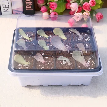 Behogar 6 Set 18.7x14.5x11cm 12-Cell Seedling Seed Starter Tray Kit for Garden Greenhouse Succulent Wheatgrass Microgreens
Behogar 6 Set 18.7x14.5x11cm 12-Cell Seedling Seed Starter Tray Kit for Garden Greenhouse Succulent Wheatgrass Microgreens