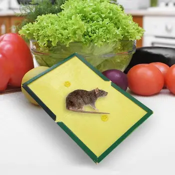 Mouse Board Thickening Super Strong Sticky Rat Glue Trap Mouse Glue Board Mice Catcher Trap Pads Non-toxic Pest Control Reject
Mouse Board Thickening Super Strong Sticky Rat Glue Trap Mouse Glue Board Mice Catcher Trap Pads Non-toxic Pest Control Reject