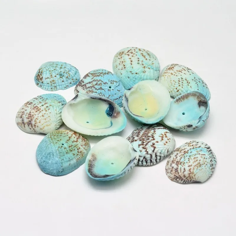 500g Dyed Shell Beads Handmade Craft Jewelry Beads for DIY Making 32~37x20~29x8~10mm
500g Dyed Shell Beads Handmade Craft Jewelry Beads for DIY Making 32~37x20~29x8~10mm