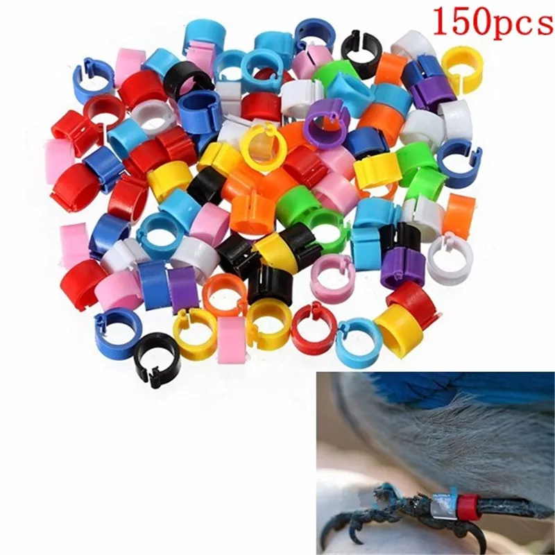 150 Pcs 10mm Multicolor Chicken Leg Bands Plastic Chicken Poultry Leg Rings PigeonGeese Quail Bird Ring Carry Tool Feeding Logo
150 Pcs 10mm Multicolor Chicken Leg Bands Plastic Chicken Poultry Leg Rings PigeonGeese Quail Bird Ring Carry Tool Feeding Logo