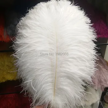 100pcs white ostrich feather 14-16 "/35-40cm DIY ostrich feather decoration stage performance
100pcs white ostrich feather 14-16 "/35-40cm DIY ostrich feather decoration stage performance