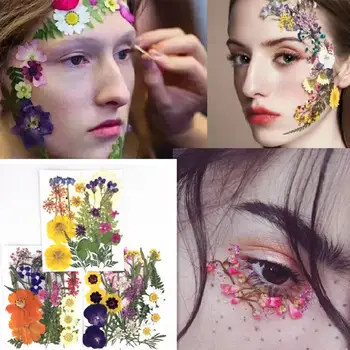 Facial Diy Decoration - Real Dried Flowers Assorted Colorful Daisies Leaves Hydrangeas For Art Craft Party DIY 
Facial Diy Decoration - Real Dried Flowers Assorted Colorful Daisies Leaves Hydrangeas For Art Craft Party DIY