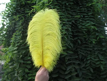 50pcs/lot 40-45 cm / 16-18 inches yellow ostrich feather plumages ostrich feather plumes table centerpiece wedding decoration
50pcs/lot 40-45 cm / 16-18 inches yellow ostrich feather plumages ostrich feather plumes table centerpiece wedding decoration