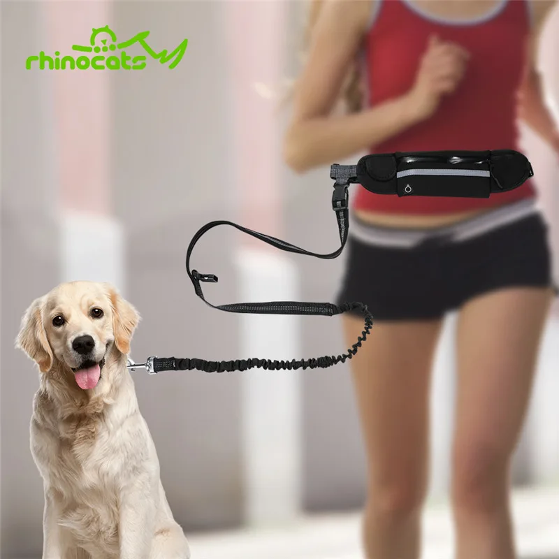 

Nylon Dog Running Leash Hands Free Walking Show Lead Leash For Small Medium Dog Puppy Cat Pet With Retractable Bungee Waist Belt