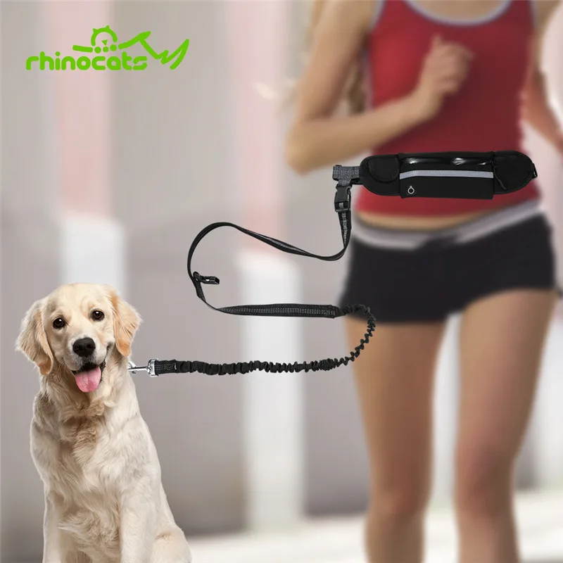 Nylon Dog Running Leash Hands Free Walking Show Lead Leash For Small Medium Dog Puppy Cat Pet With Retractable Bungee Waist Belt
Nylon Dog Running Leash Hands Free Walking Show Lead Leash For Small Medium Dog Puppy Cat Pet With Retractable Bungee Waist Belt