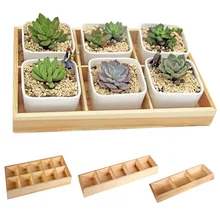 בשרני פרח ברזל קרמיקה עציץ עץ תיבת עסיסי צמח מדף עציץ עציץ בונסאי סיר(China)