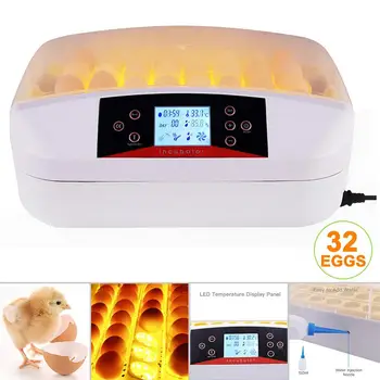 32PCS Egg Incubator Digital Temperature Hatchery Machine Hatcher for Hatching Chicken Ducks Geese Poultry Quails Parrots Pigeons
32PCS Egg Incubator Digital Temperature Hatchery Machine Hatcher for Hatching Chicken Ducks Geese Poultry Quails Parrots Pigeons